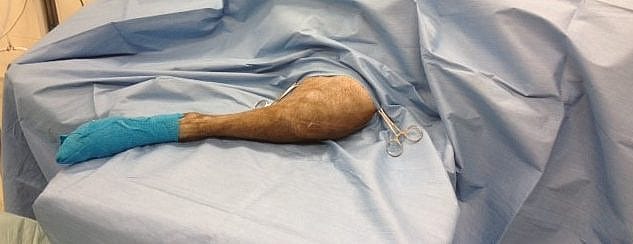 fa8d326edc3a3e2854da2dd5fed9b932