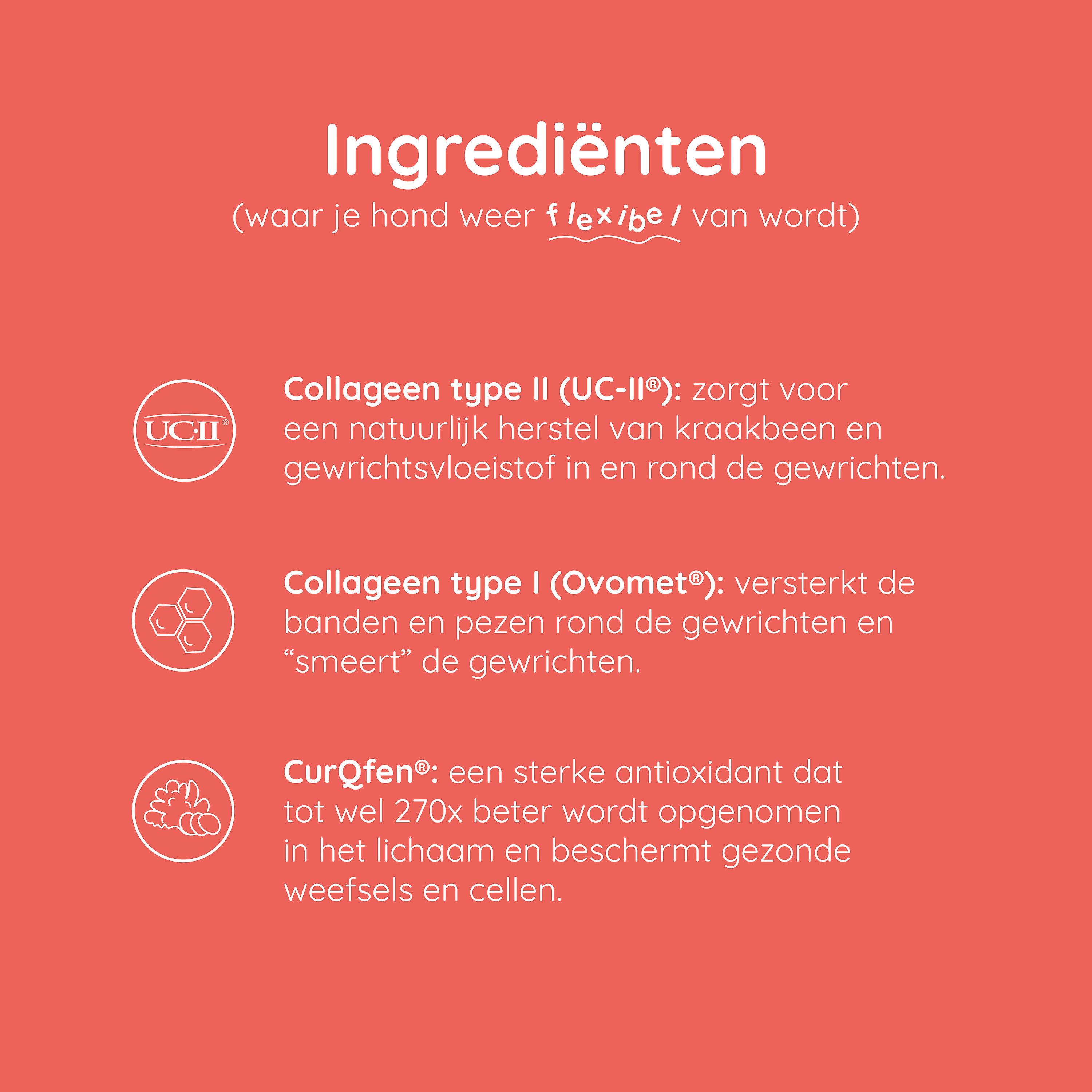 Greenfields Mobility+ Gewrichten Hond 60 tabletten