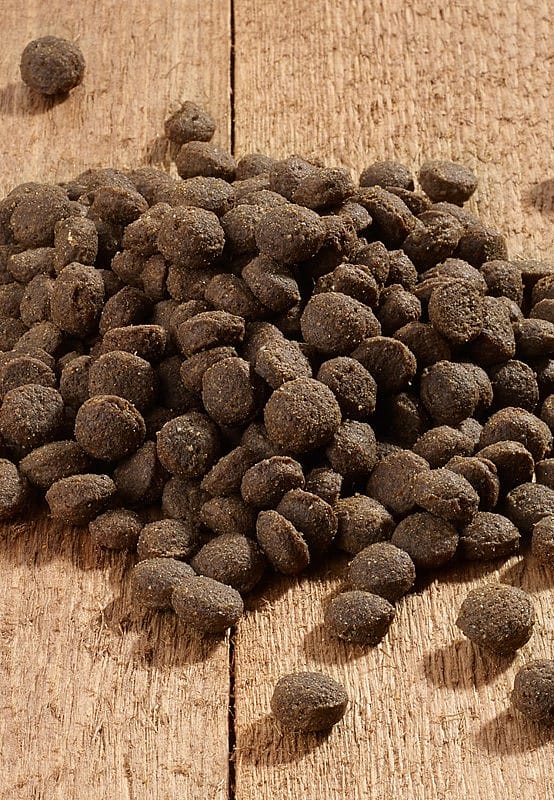 Vet-Concept Intestinal Kattenvoer