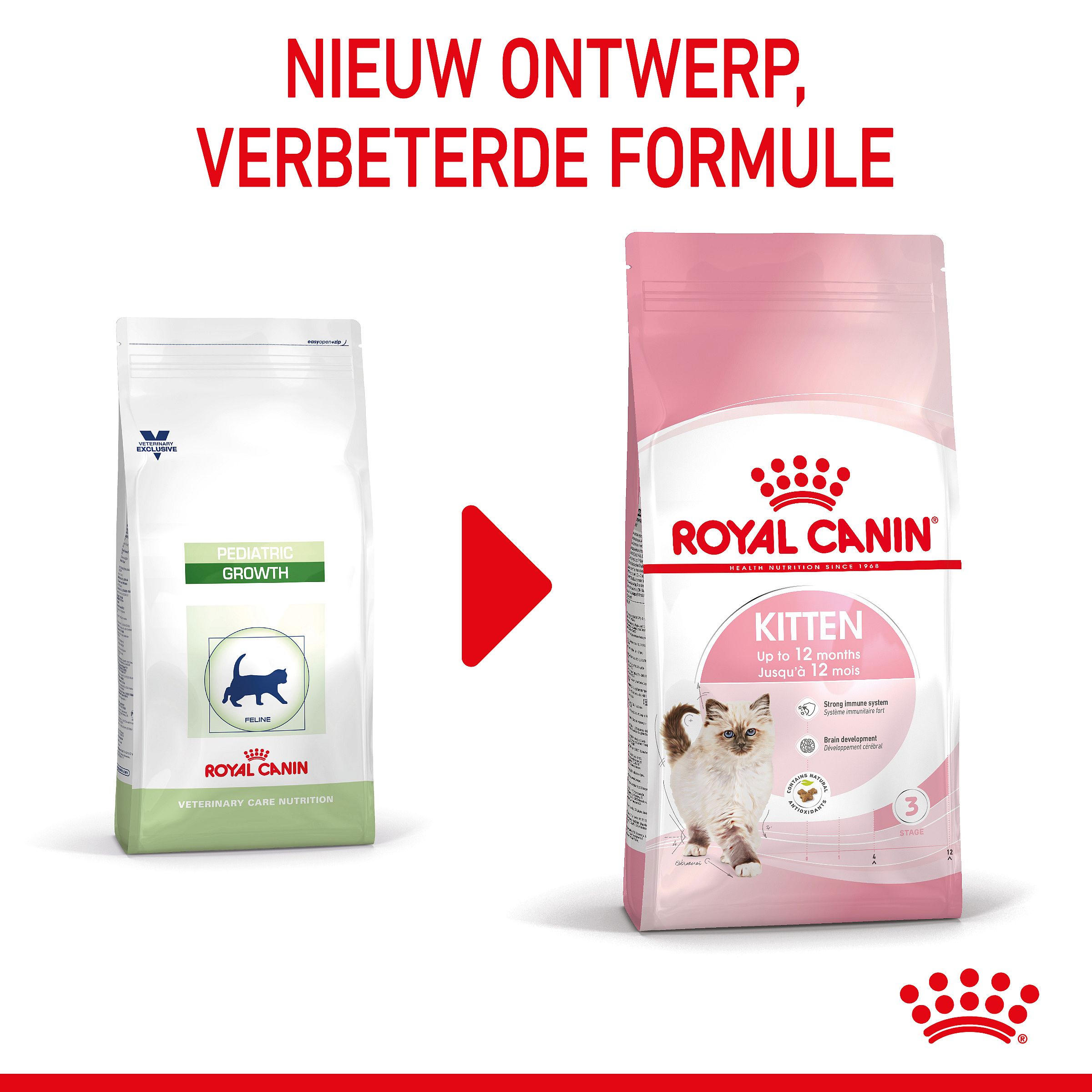 Royal Canin Kitten