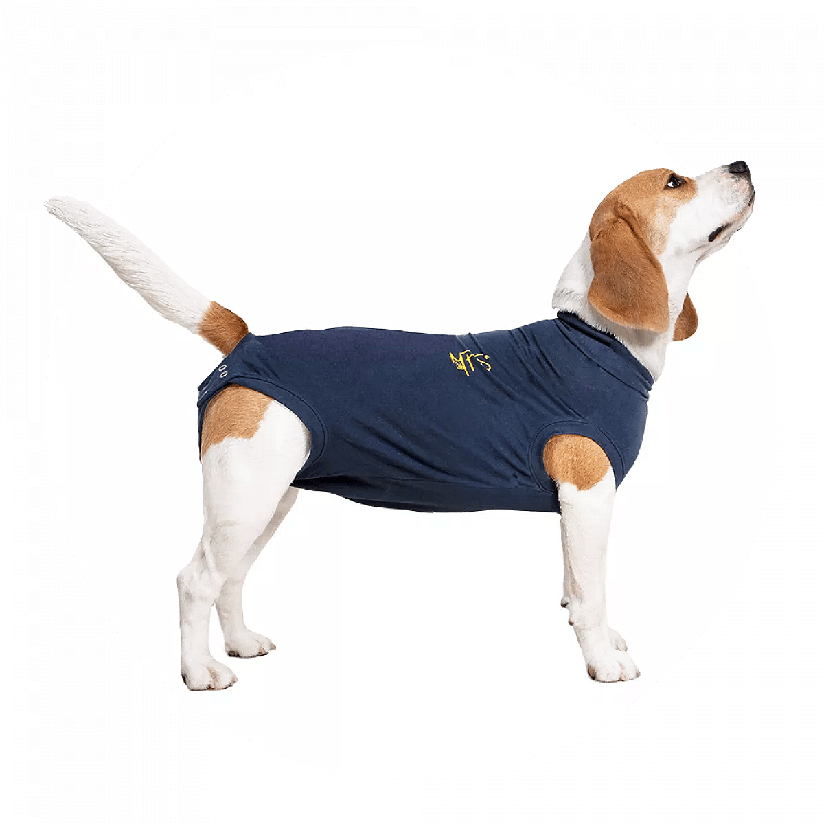 Medical Pet Shirt Hond