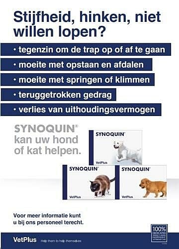 Vetplus Synoquin EFA Gewrichten Kat 90 capsules