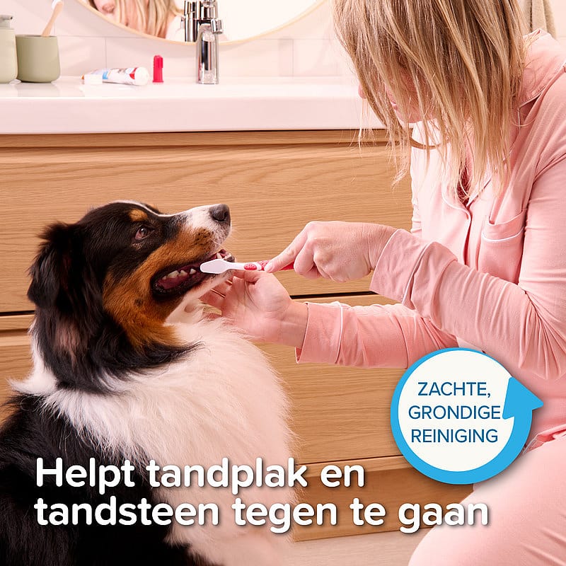 Beaphar Tandpasta en Tandenborstel 1 set