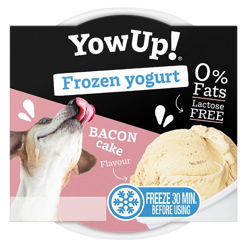 YowUp! Ice Cream Yogurt Hond Kat 110 gram Bacon Cake