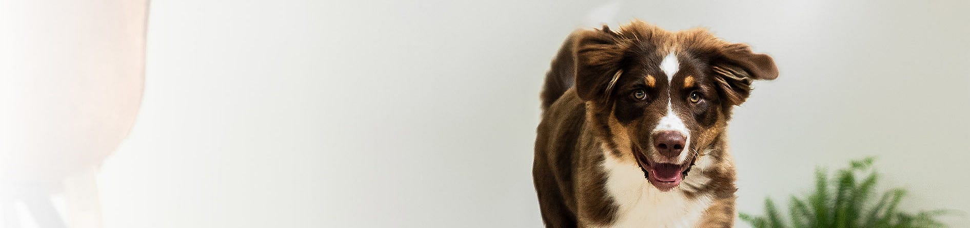 5e003ebacd4dccb627d18cd3ac00a15d