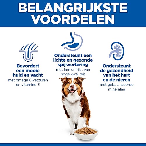 dog food, dog bowl, kibble, brown dog, pet nutrition
