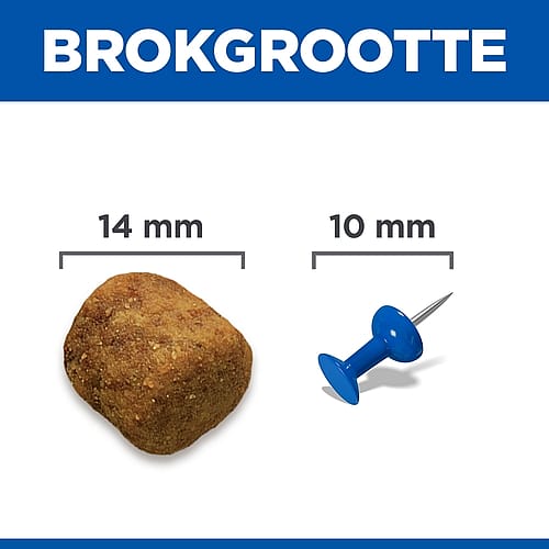 brokbroodte?, ziener?