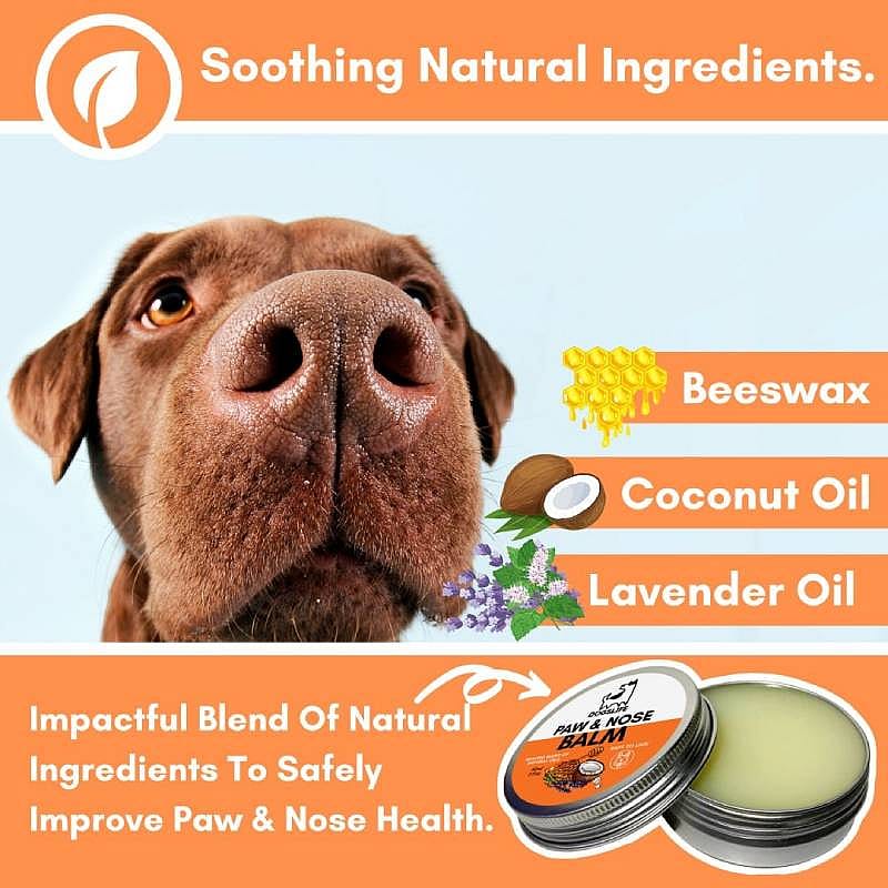 DogsLife Paw & Nose Balm Hond 60 ml