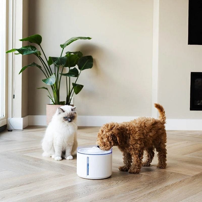 District 70 FLOW 2.2 L Draadloze Drinkfontein Hond Kat Wit