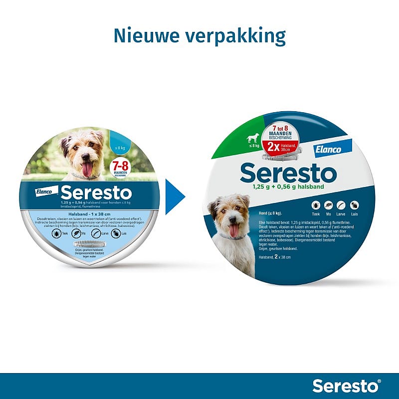 Hondje, Hond, Zoogdier, Huisdier, Advertentie
