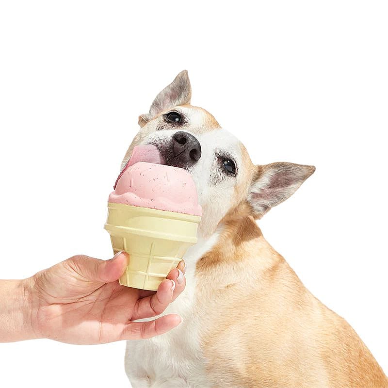 dog, huisdier, ijsje, ijsbakje, ijscone
