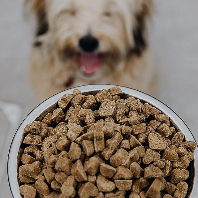 Brave Bites Koekjes Kanker Hond 150 gram