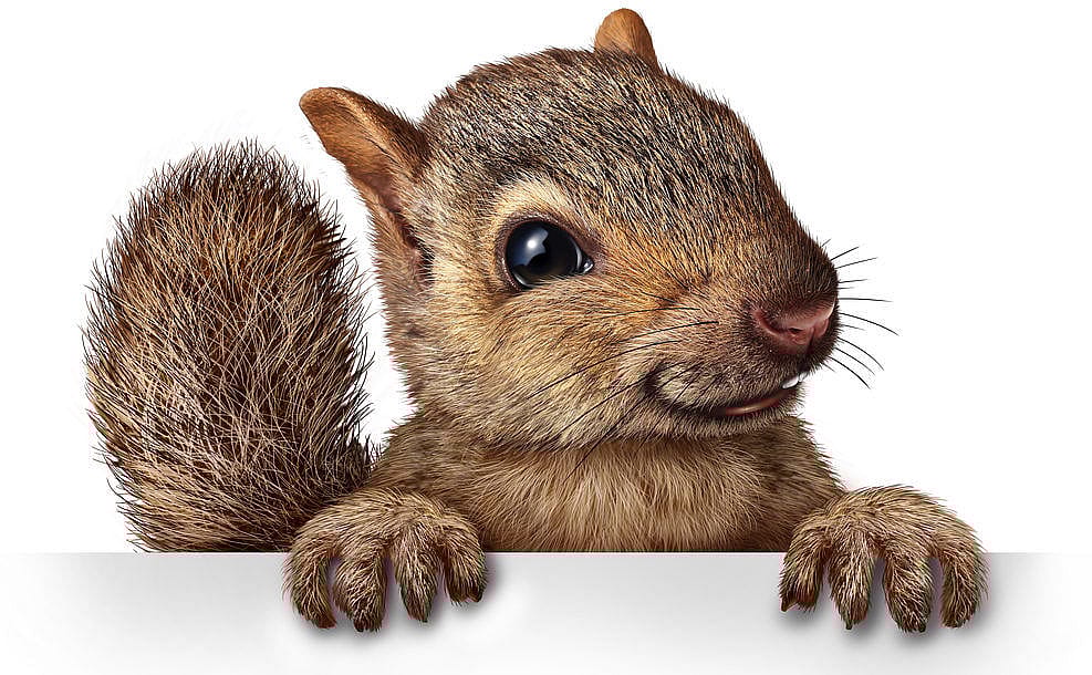 e99d40d4ce361f0e754fa27b7e597732