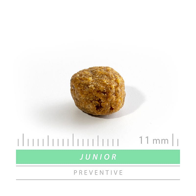 Sanimed Junior Hond: Voeding voor Jonge Honden - Alle Rassen - 5-15 maanden 3 kg