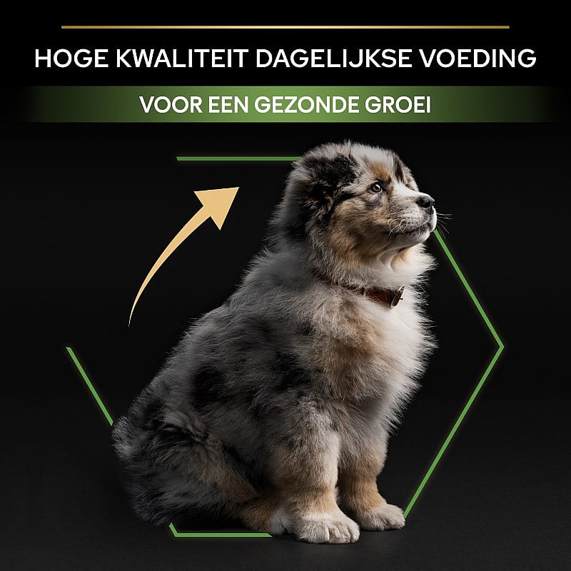 Purina Pro Plan Medium Puppy Healthy Start Kip Hondenvoer 12 kg