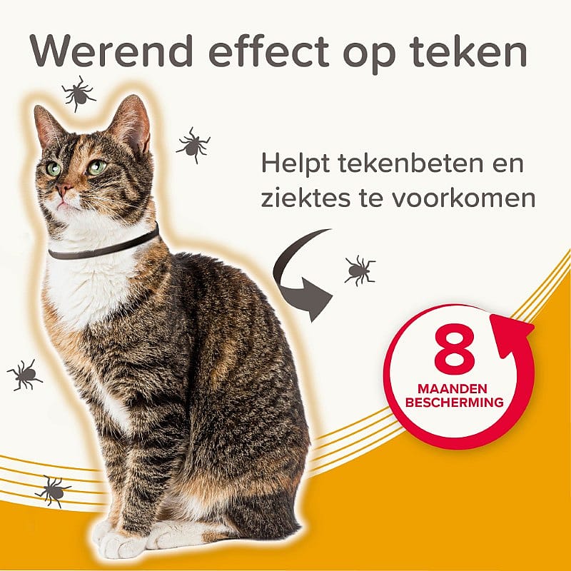kat, huisdier, kattenhalsband, tegenvloek, dierenbescherming