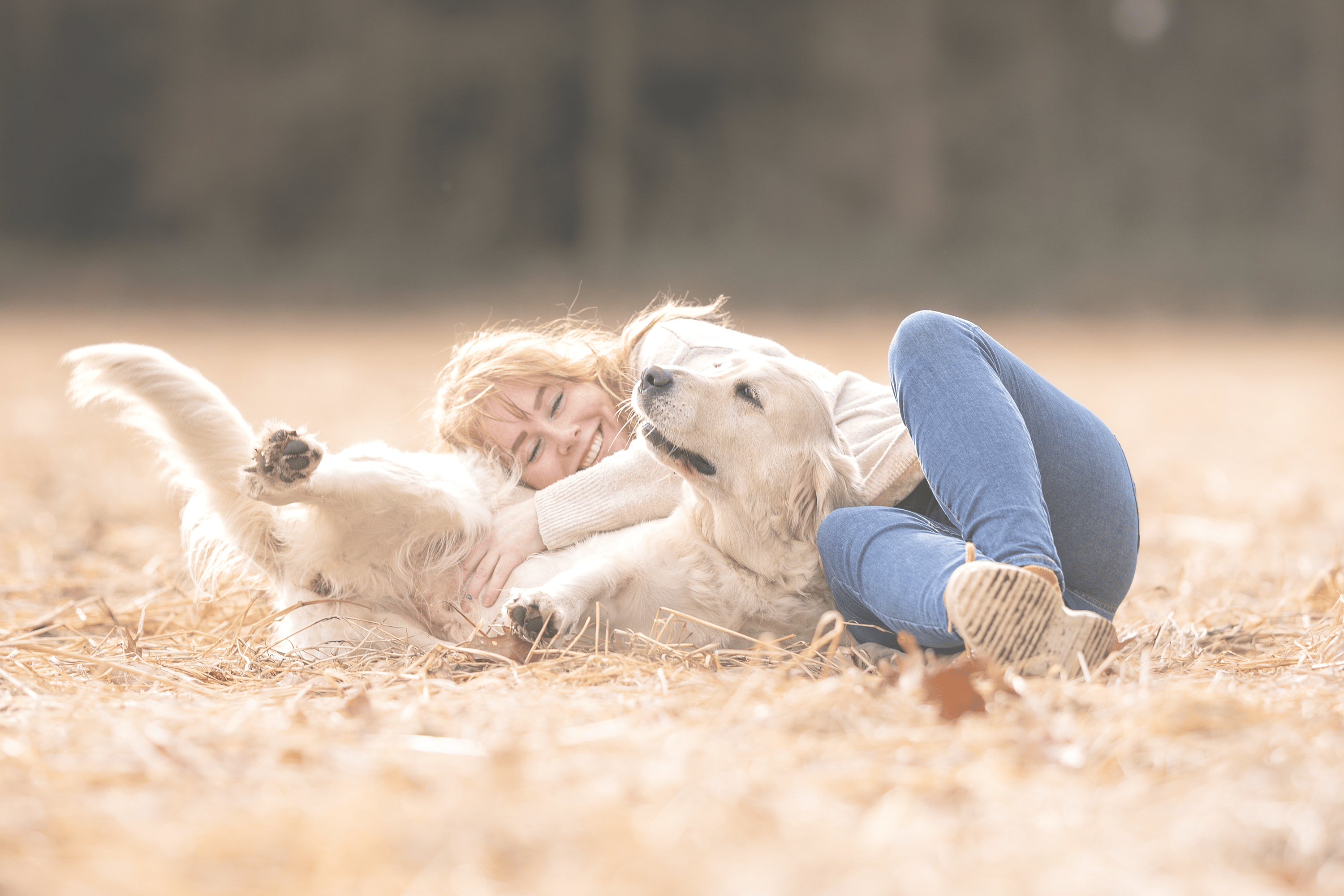 Persoon, Hond, Huisdier, Puppy, Gezicht