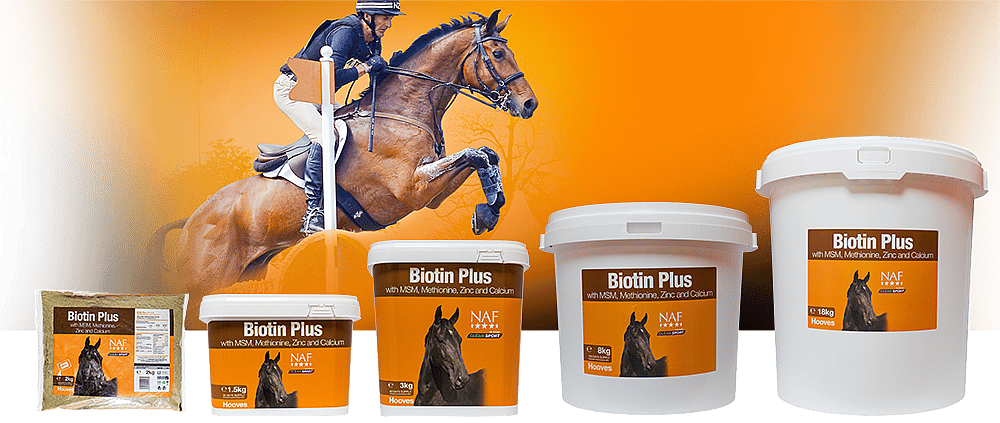 NAF Biotine Plus Paard