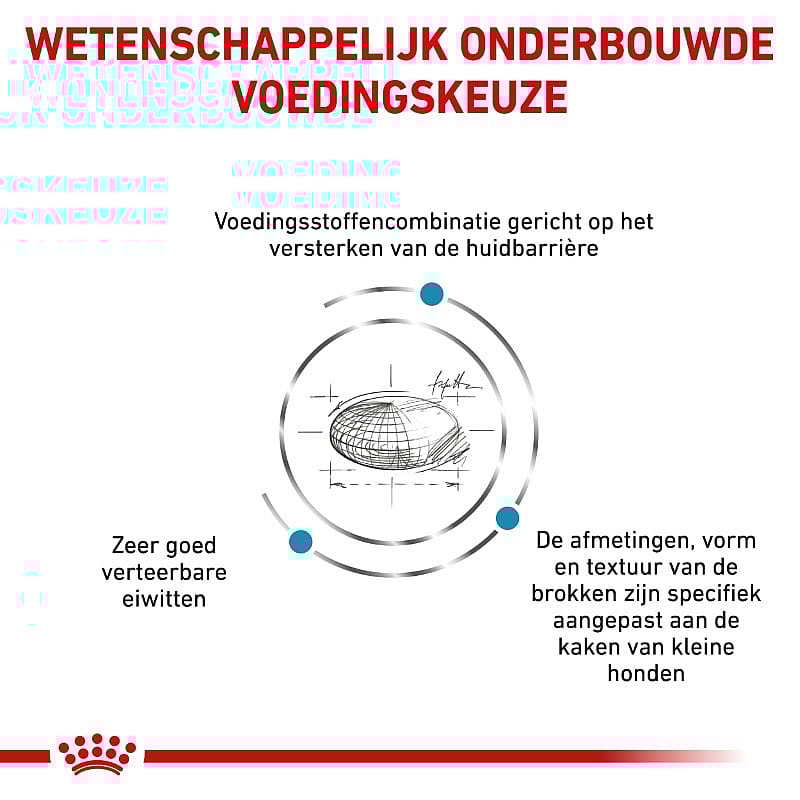 Royal Canin Skin Care Small Dog