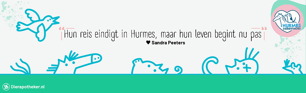 Van liefde en passie naar droomboerderij voor kansarme dieren