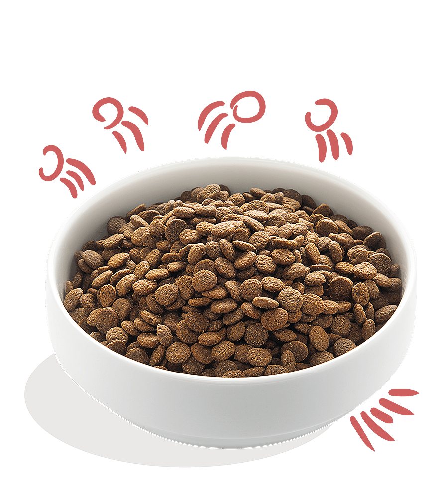 Edgard & Cooper Senior Hondenvoer Verse Scharrelkip en Noorse Zalm 12 kg