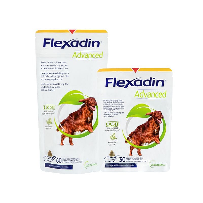 Flexadin Advanced Hond