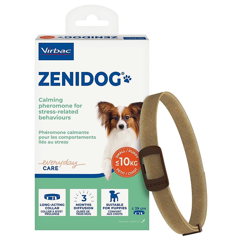 dog collar, Zenidog, calming pheromone, pet accessory, small dog