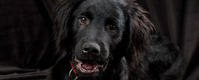 527a2932352e6153ec444270f598b28b