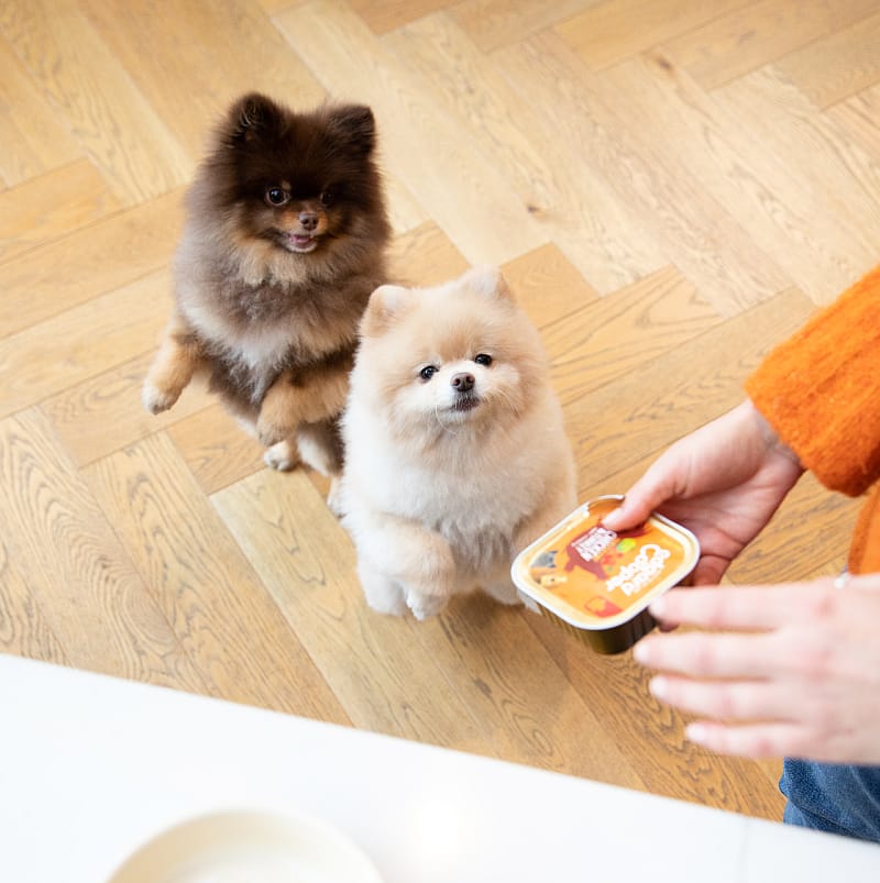 Edgard & Cooper Adult Hondenvoer Kuipjes Kip & Kalkoen