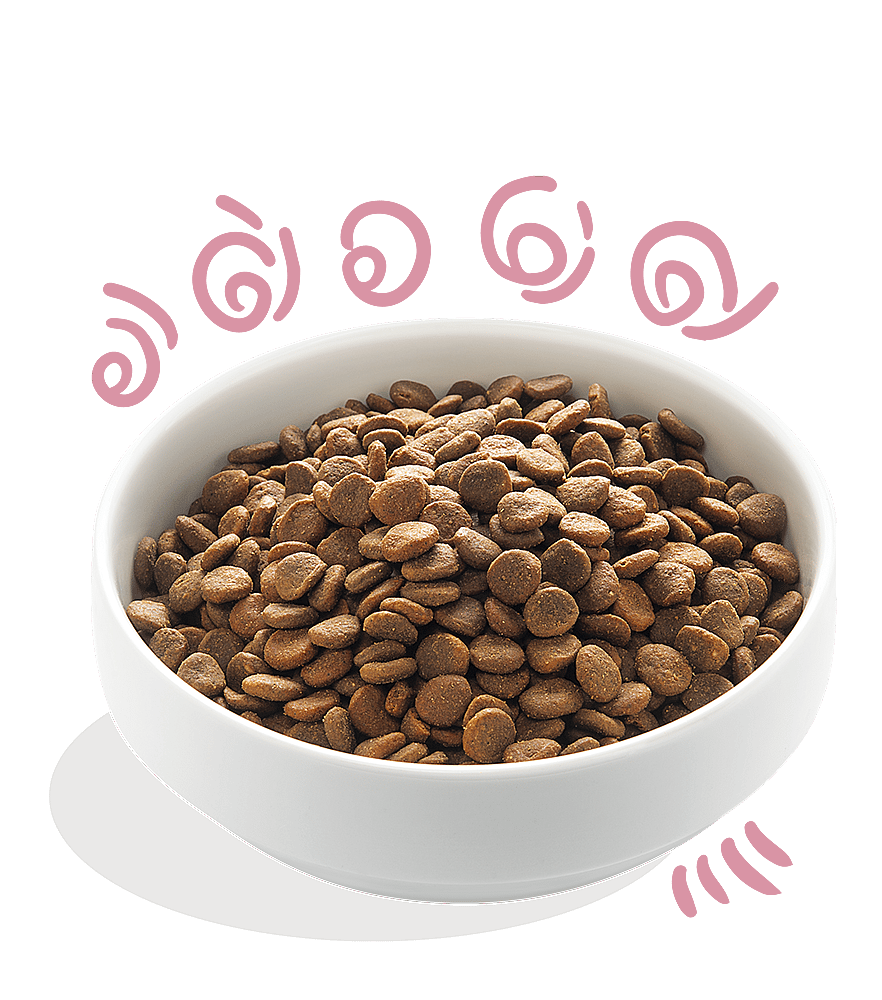 Edgard & Cooper Puppyvoer Verse Scharreleend en Scharrelkip 700 gram