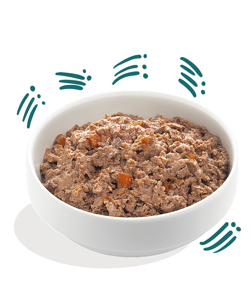 Edgard & Cooper Adult Hondenvoer Biologisch Kuipjes Vis 17 x 100 gram