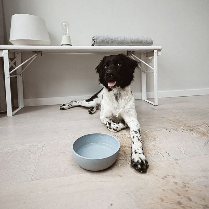 District 70 BAMBOO Stijlvolle Voerbak Hond S Ice Blue