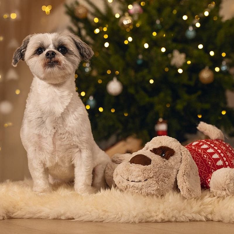 Beeztees XL Knuffel Kerst Comet Wit-Rood