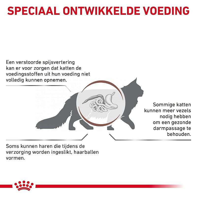 Royal Canin Gastrointestinal Hairball Kat 4 kg