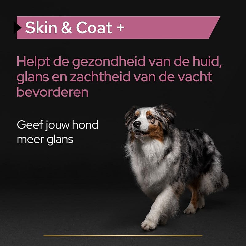 Purina Pro Plan Skin & Coat+ Supplement Hond 250 ml