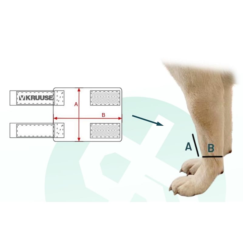 Kruuse Rehab Carpal Protector