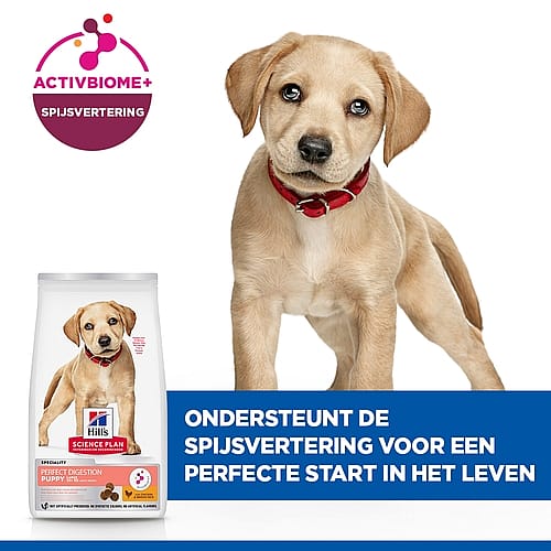 Hill's Science Plan Perfect Digestion Large Puppyvoer Kip & Rijst 14.5 kg