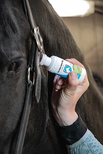EQUI0023F4-equi-odour-spons-on-75-ml Equi Odour Spons-On 75 ml