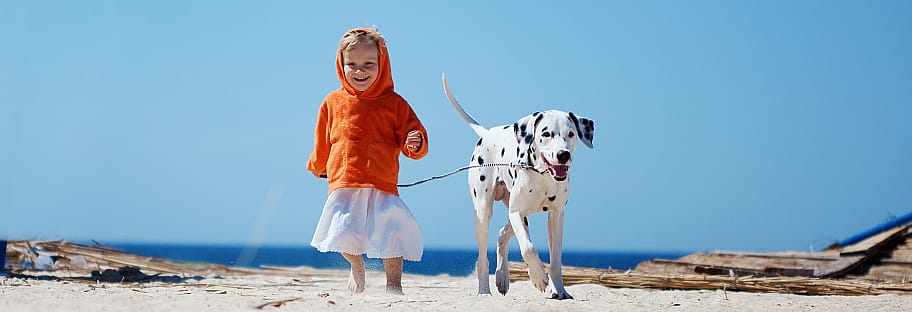 1d0dfba7fa15adb3b28002acfca54ad4