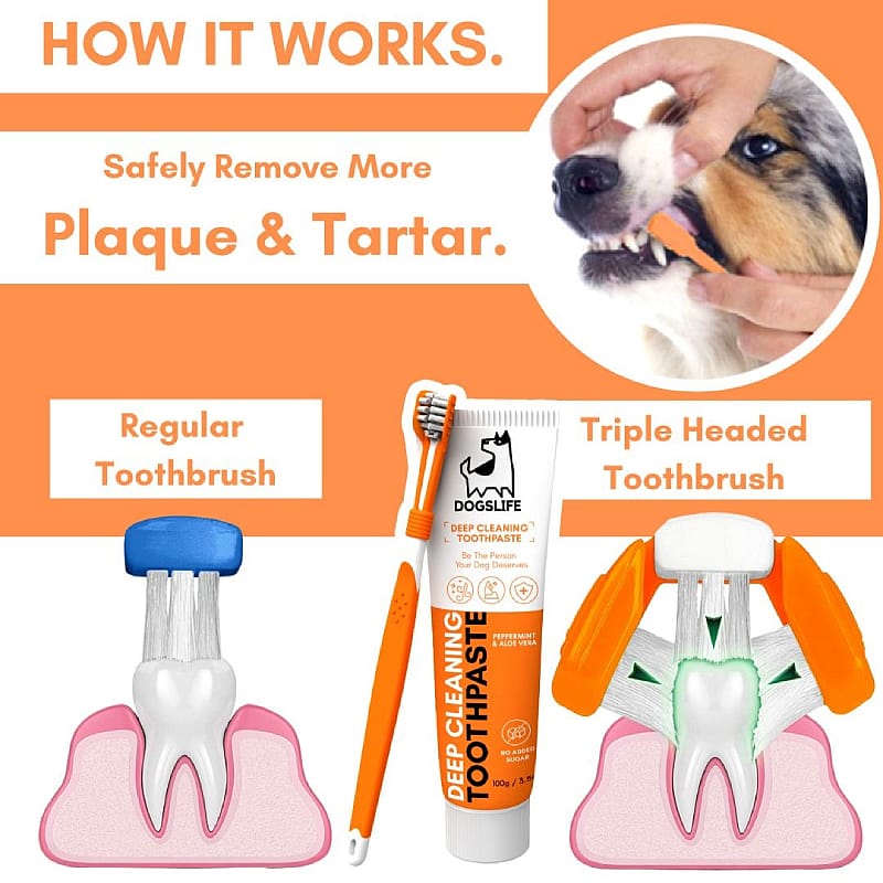 OurDogsLife Dental Kit Hond