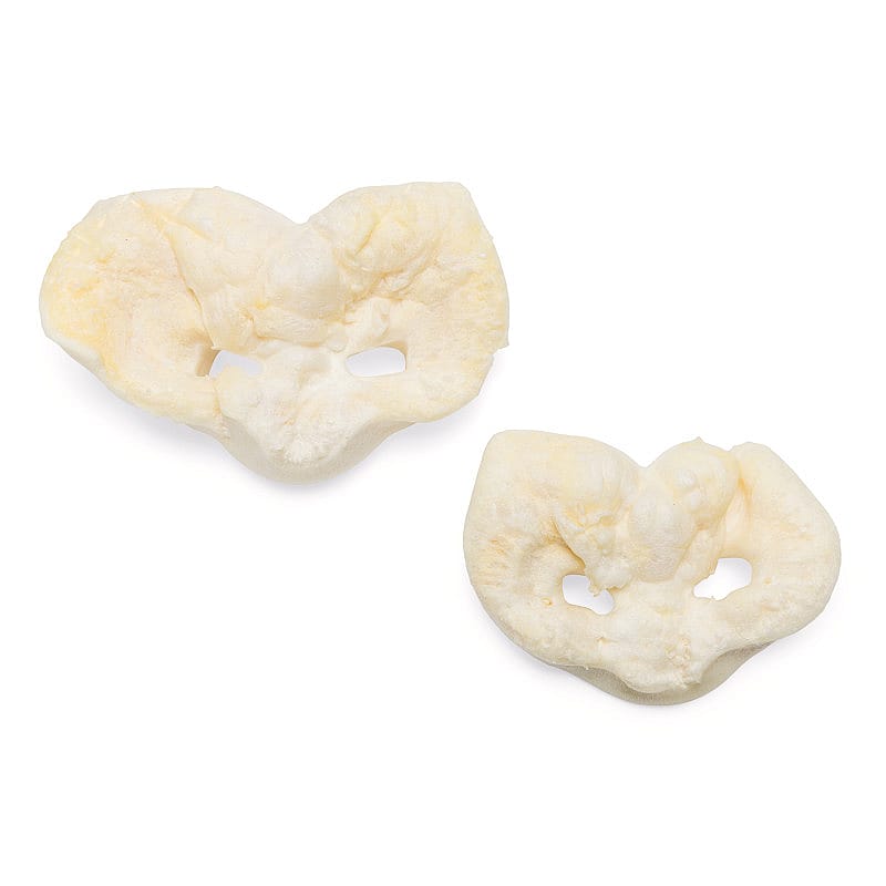 Beeztees Gepofte Varkenssnuiten Hond 5 stuks