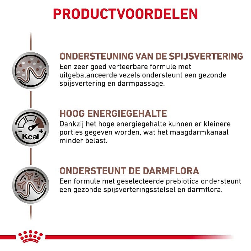 Royal Canin Gastrointestinal Kat 2 kg