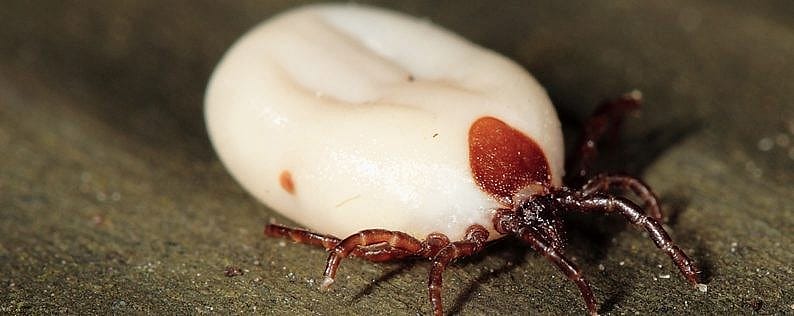 e0f910068aa6d20f2430006ae757f632