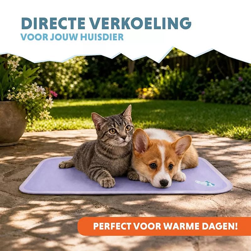 kat, hond-kat, mand, vloermat, tuin, knuffel