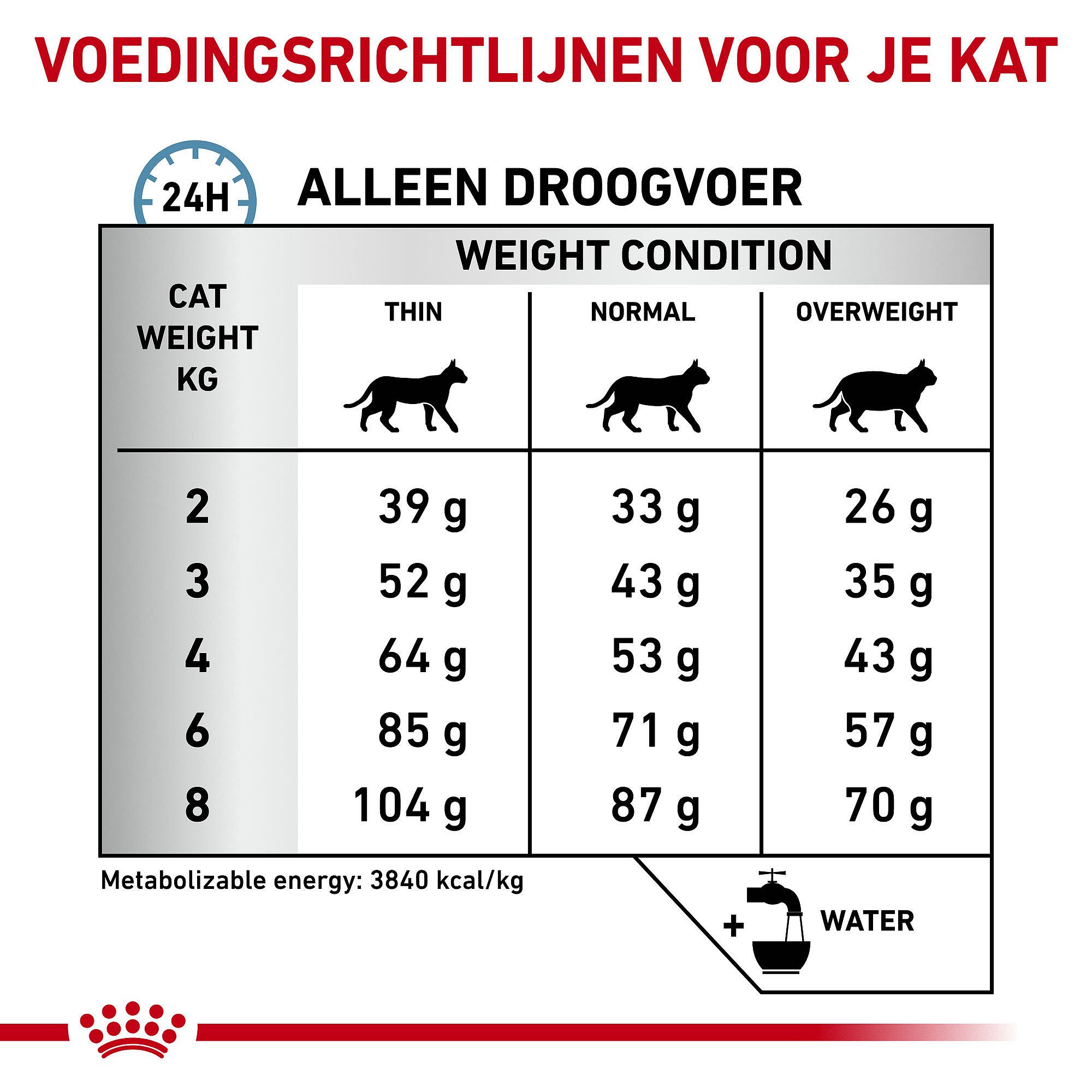 Royal Canin Skin & Coat Kat