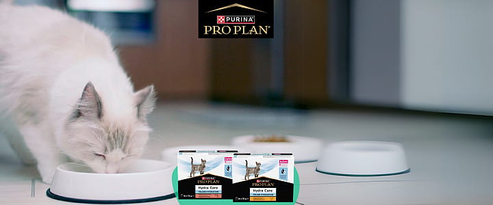 kattenvoer, voerbakken, kattengranen, hydraterende voeding, pro plan