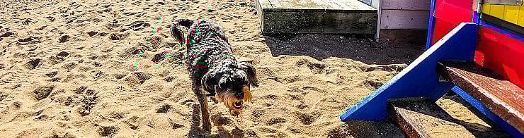 c6fbf37b3567aec33422946e10c1efb7