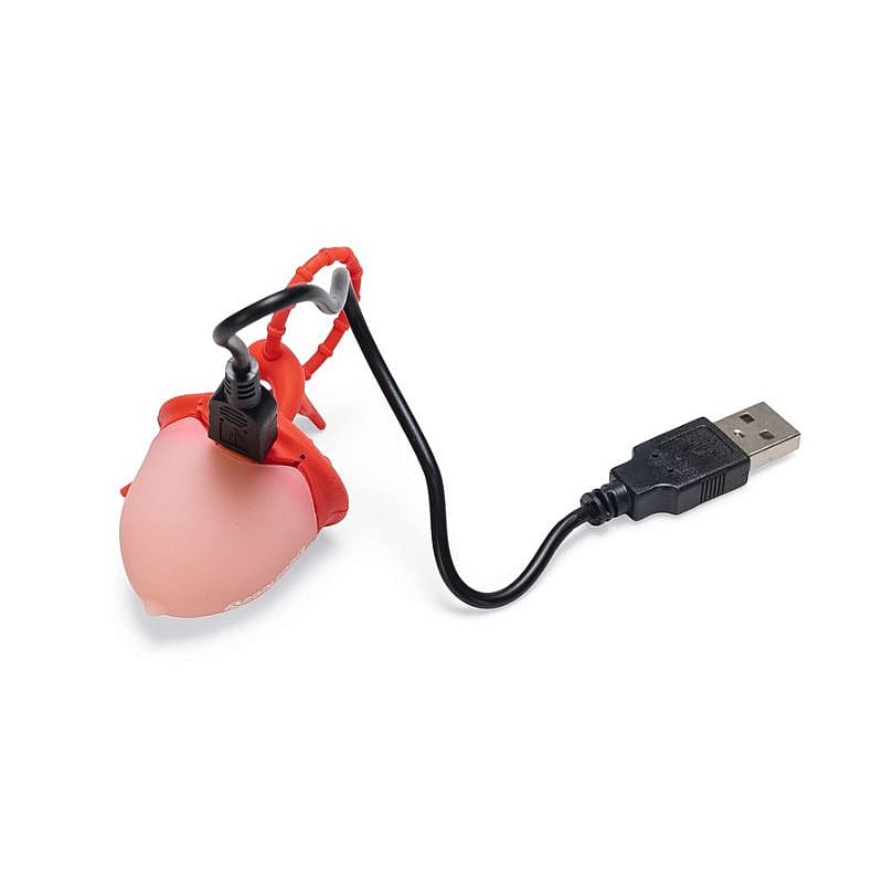 Beeztees Safety Eikel Hondenlamp