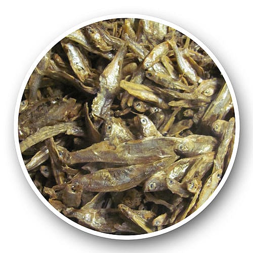 Visjes-gedroogd-kat Dierapotheker Gedroogde Visjes 50 gram