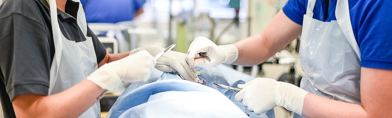 93bd4ebc4e68af718f84c2d531b8fa3c